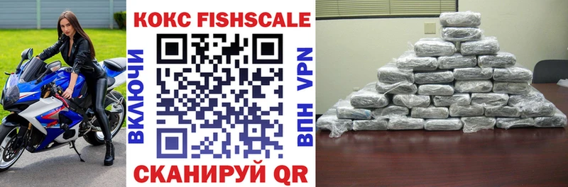 COCAIN Fish Scale  наркошоп  Южно-Сухокумск 