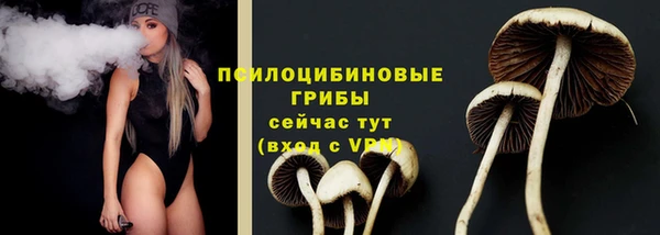 гашик Алексеевка